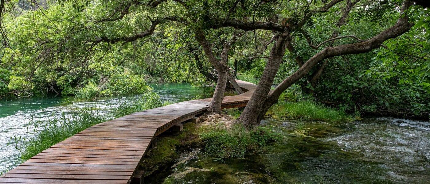 Ein geschwungener Holzsteg führt zwischen Bäumen über einen klaren Wasserlauf.